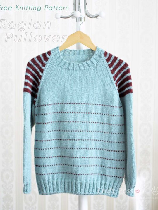 Raglan Sweater Knitting Pattern, Free • Craft Passi
