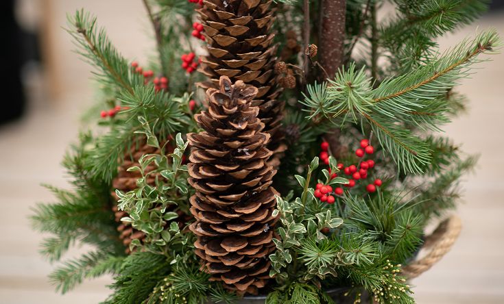 How To Create A Winter Evergreens Planter | Winter planter .