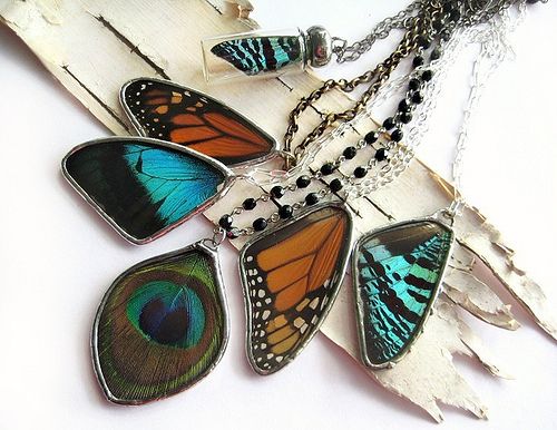 PopkoShop - Natural wings and feather jewelry | Feather jewelry .