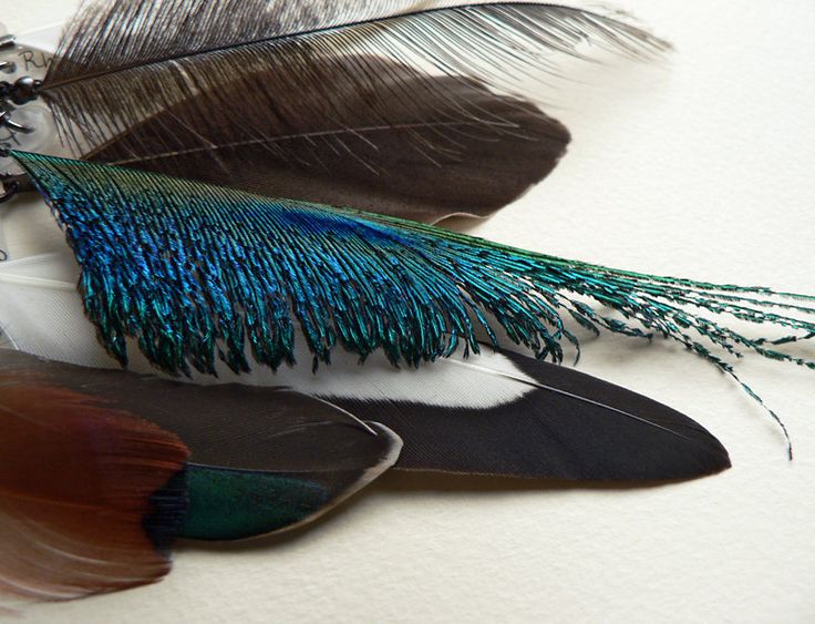 Feather Statement Necklace, unique piece, feather necklace .